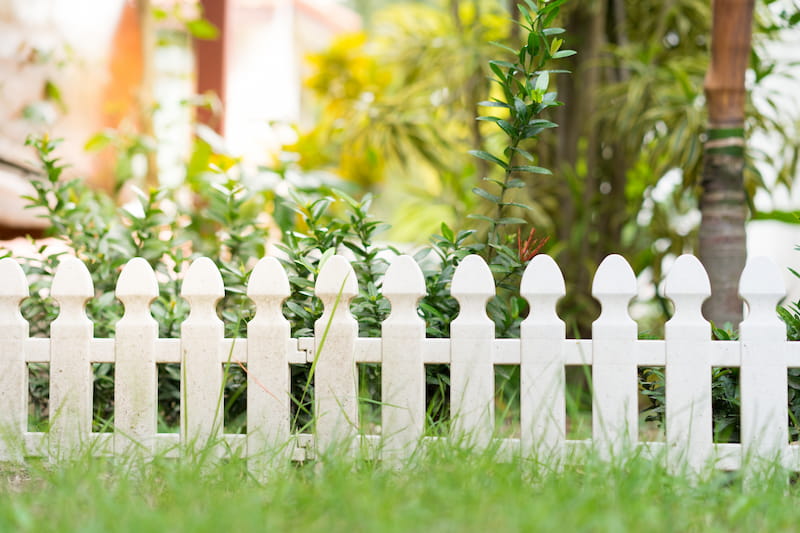 Fence cleaning